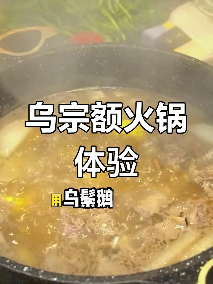 清远首家乌宗额打边炉,药膳汤底与美味搭配