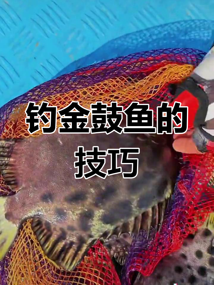 金鼓鱼钓法大揭秘,轻松上手!