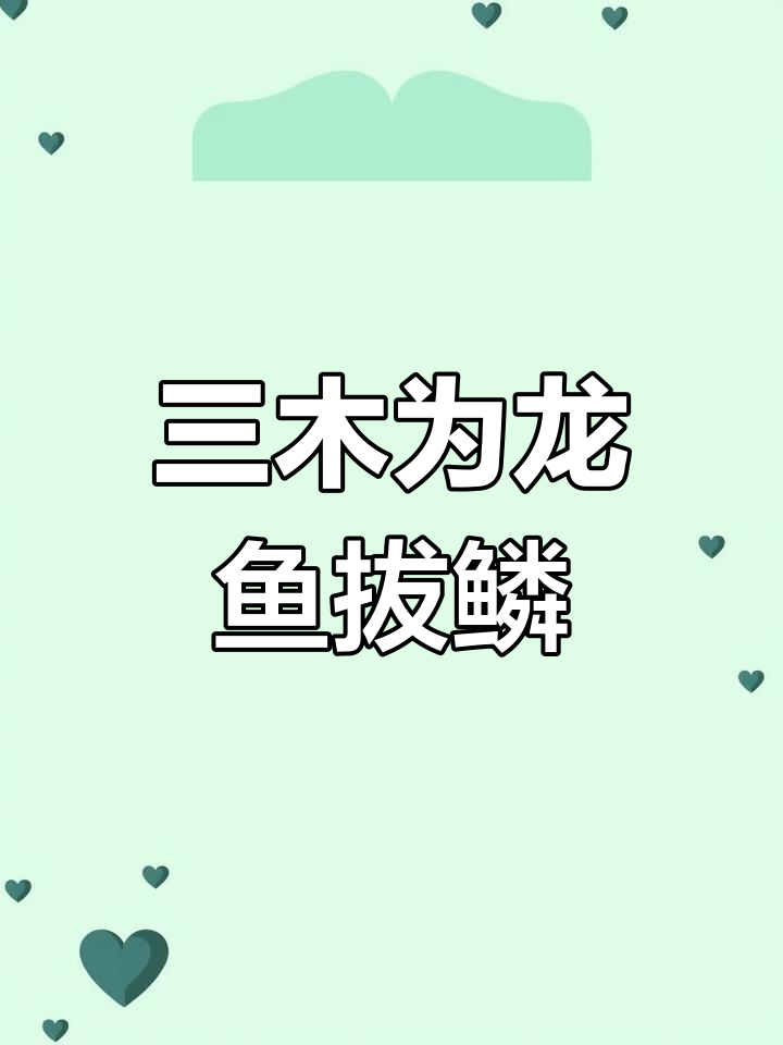龙鱼鳞片掉落,三木决定拔掉受伤的鳞片