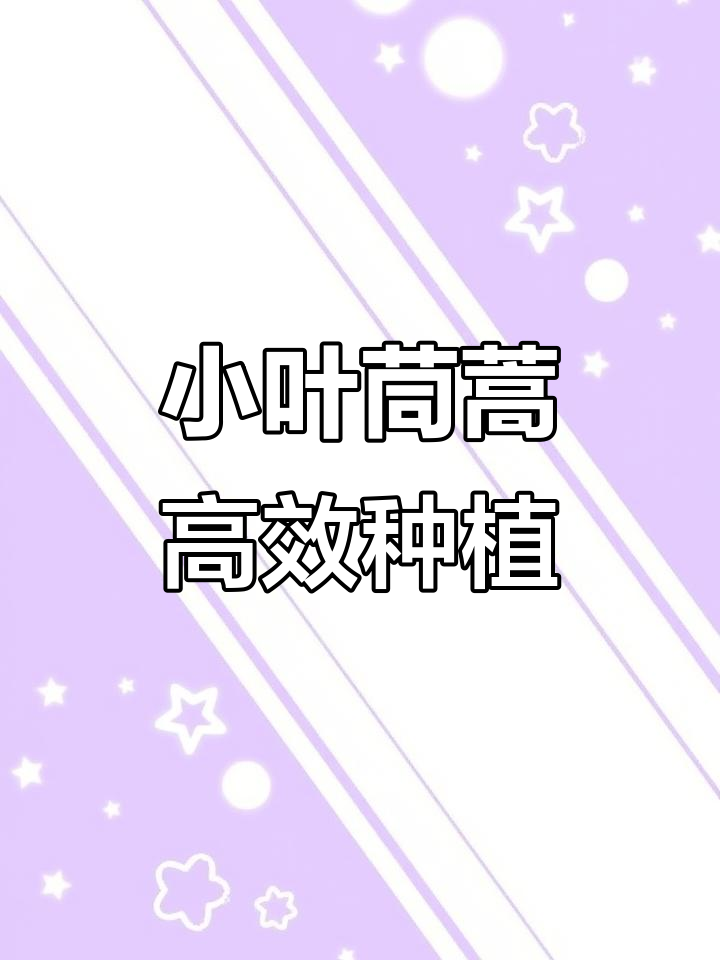 茼蒿菜种植技巧:从种子浸泡到出苗全攻略
