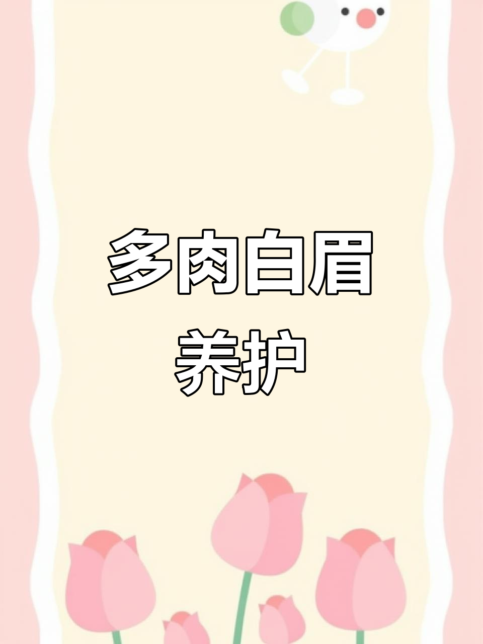 白眉多肉植物养护技巧，露养更健康