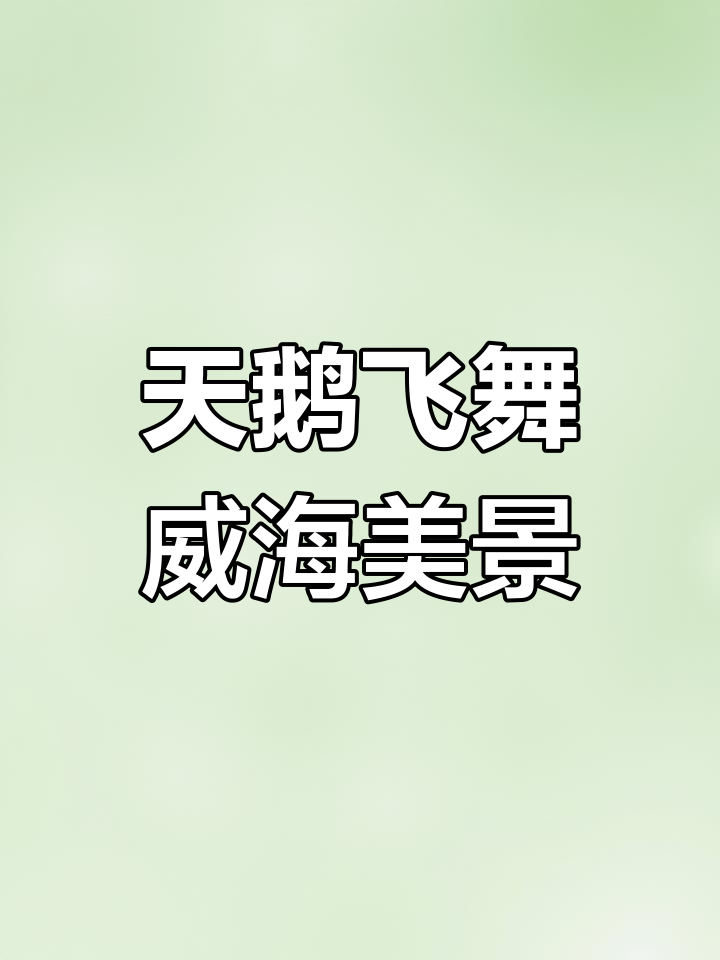 威海天鹅湖:清晨与傍晚的天鹅飞翔,美景尽收眼底