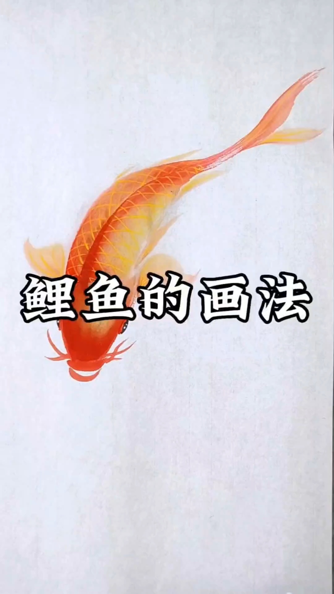 鲤鱼的画法
