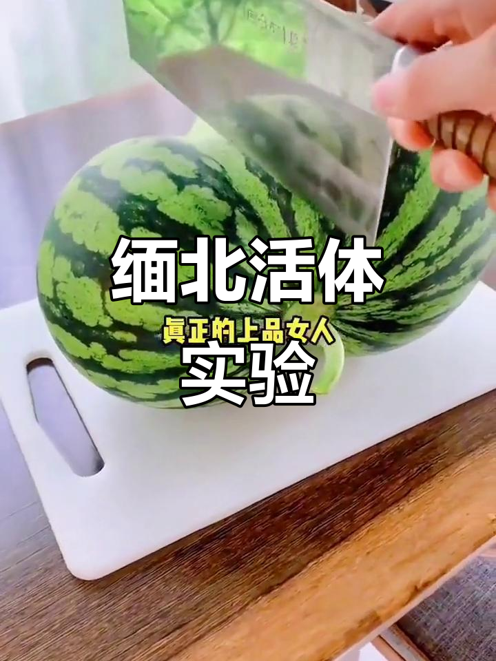 缅北工厂,活体肉莲制作,美女成牺牲品