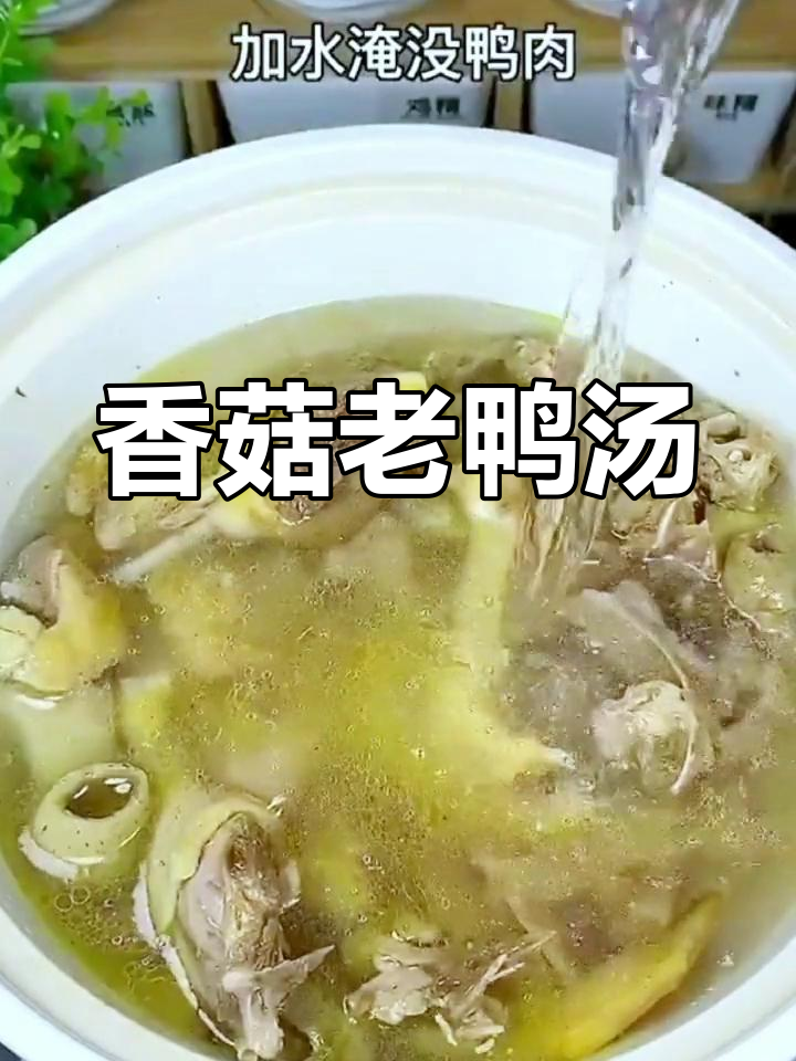 夏日必备,香菇老鸭汤助开胃