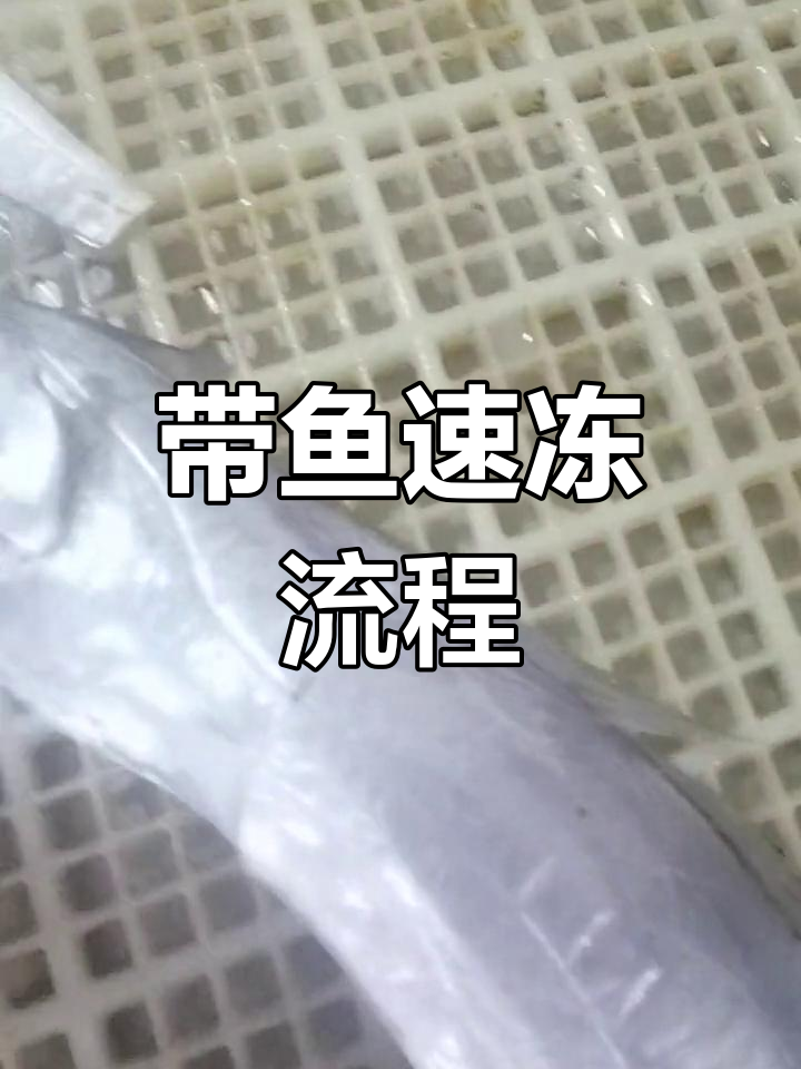 新鲜带鱼如何冷冻保存