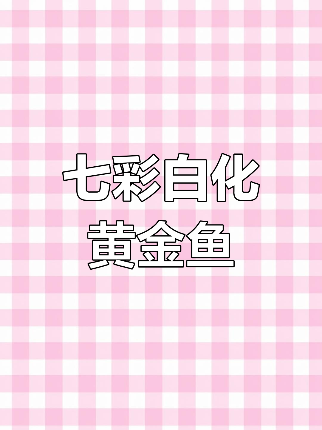 白化黄金七彩神仙鱼,3-10厘米