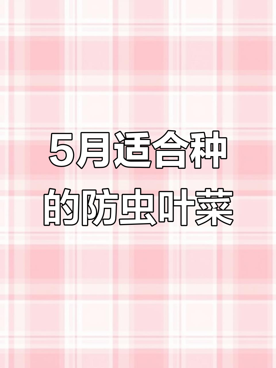 5月种什么菜最不易生虫?夏季必选蔬菜推荐