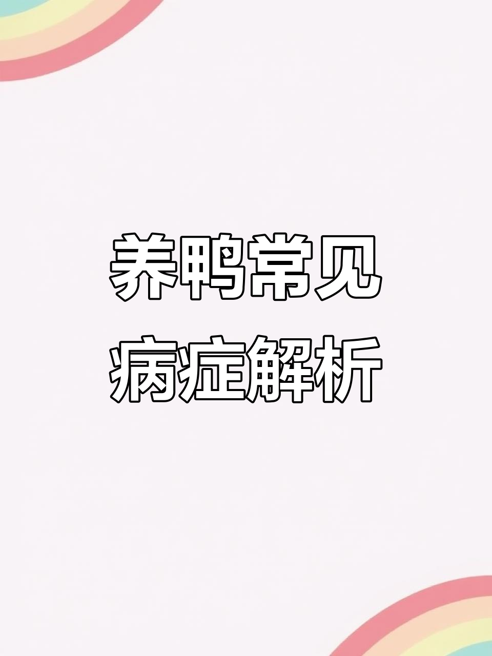 秋冬季节鸭病高发,浆膜炎诊断与治疗技巧分享
