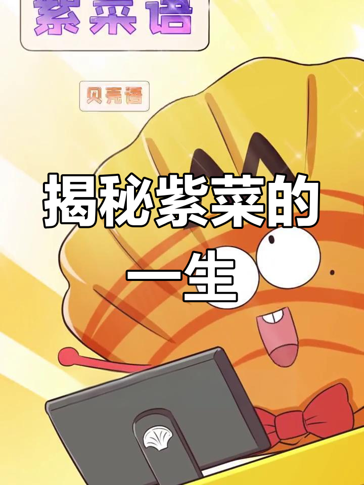 紫菜的神奇生长过程,竟然是这样诞生的!