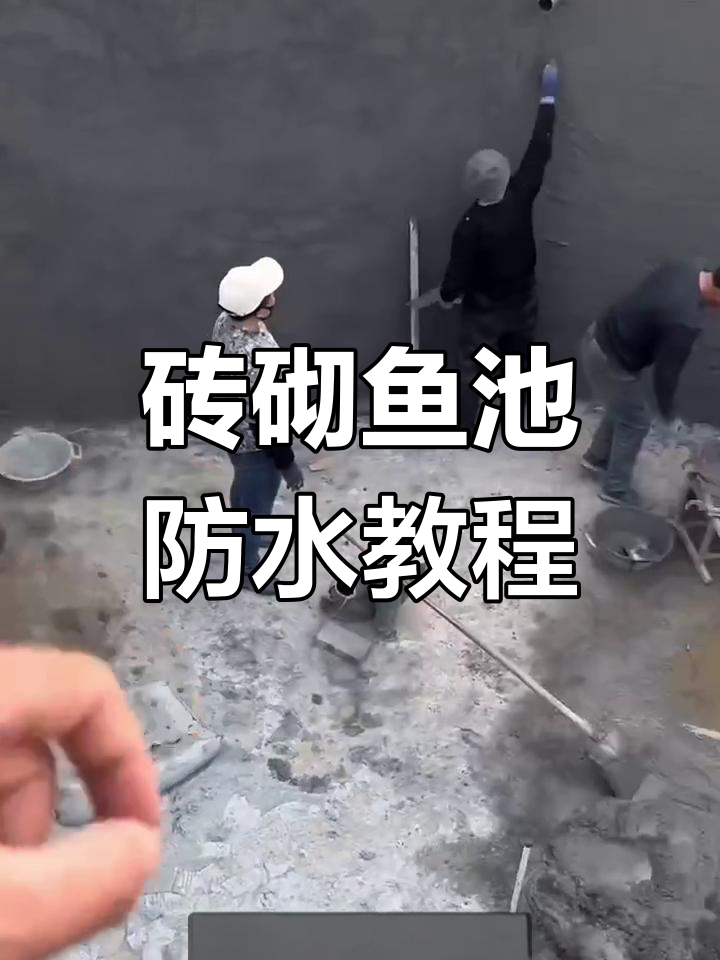 砖砌鱼池防水技巧,轻松打造不漏水的庭院水池