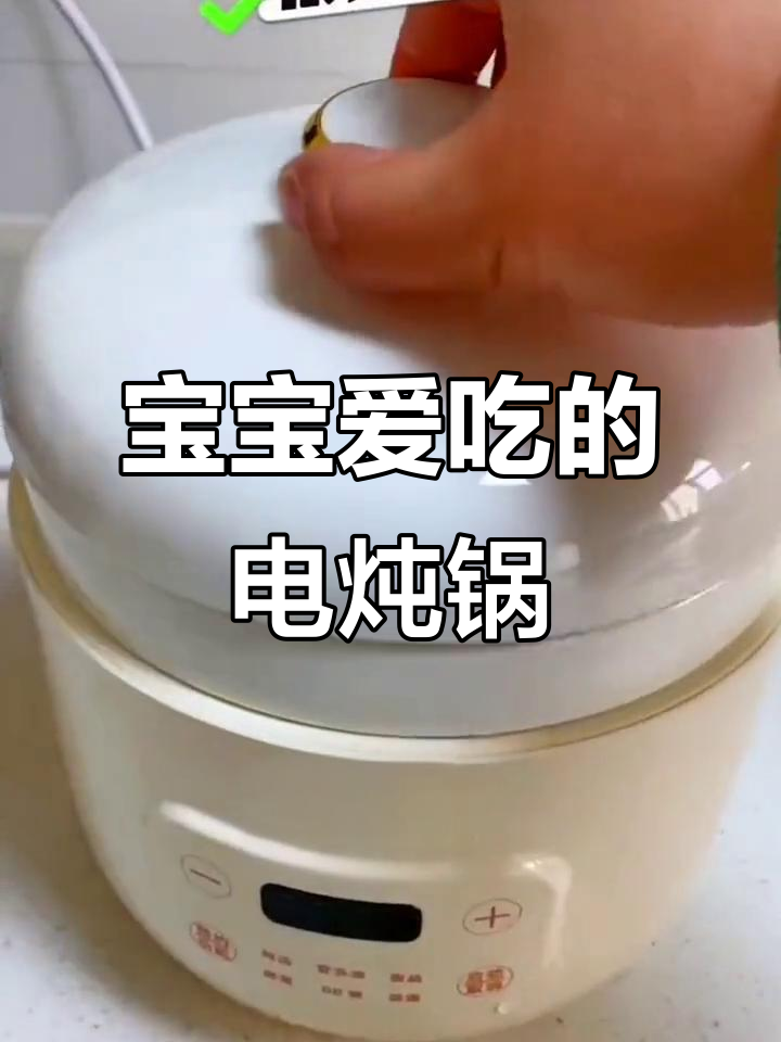 迷你电炖锅，自动煮粥辅食，宝宝最爱！