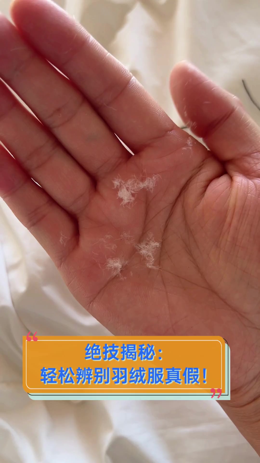 绝技揭秘:轻松辨别羽绒服真假!