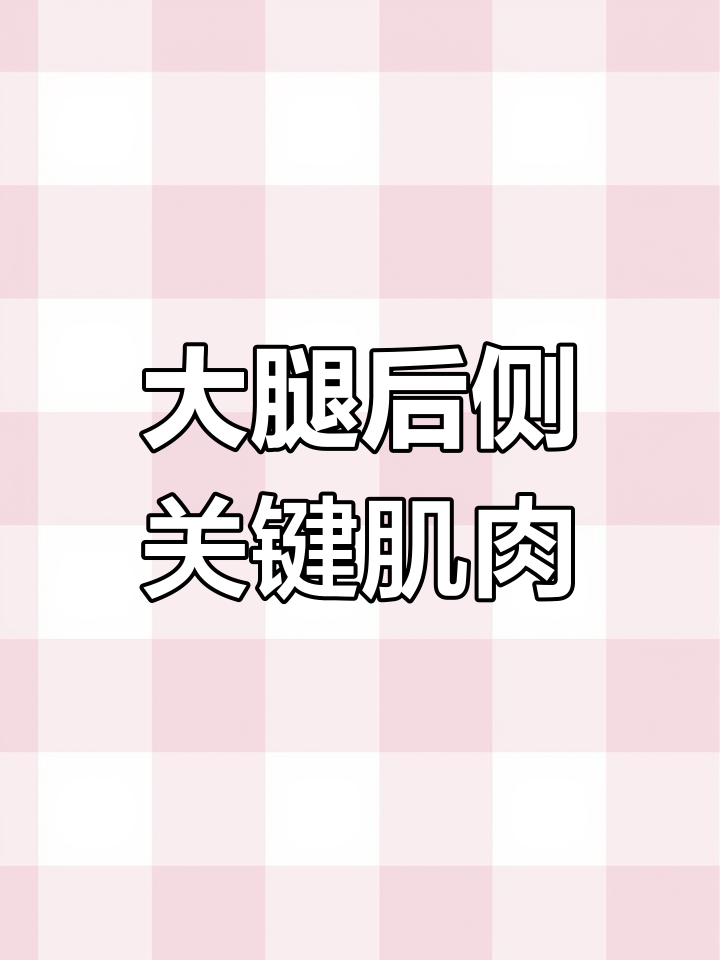 肱神肌:大腿后侧最容易被忽视的肌肉,它到底有多重要?