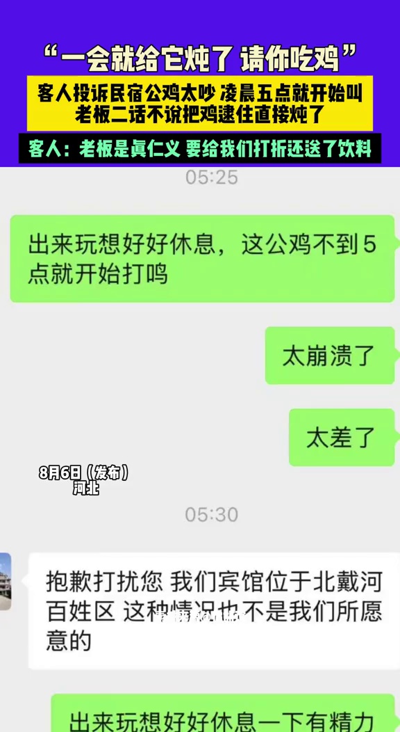 客人清晨被公鸡打鸣吵醒,酒店老板花400元将鸡买回,直接炖了吃