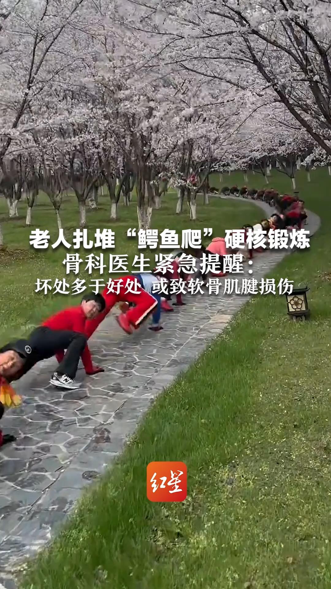 老人扎堆“鳄鱼爬”硬核锻炼 骨科医生紧急提醒:坏处多于好处 或致软骨肌腱损伤