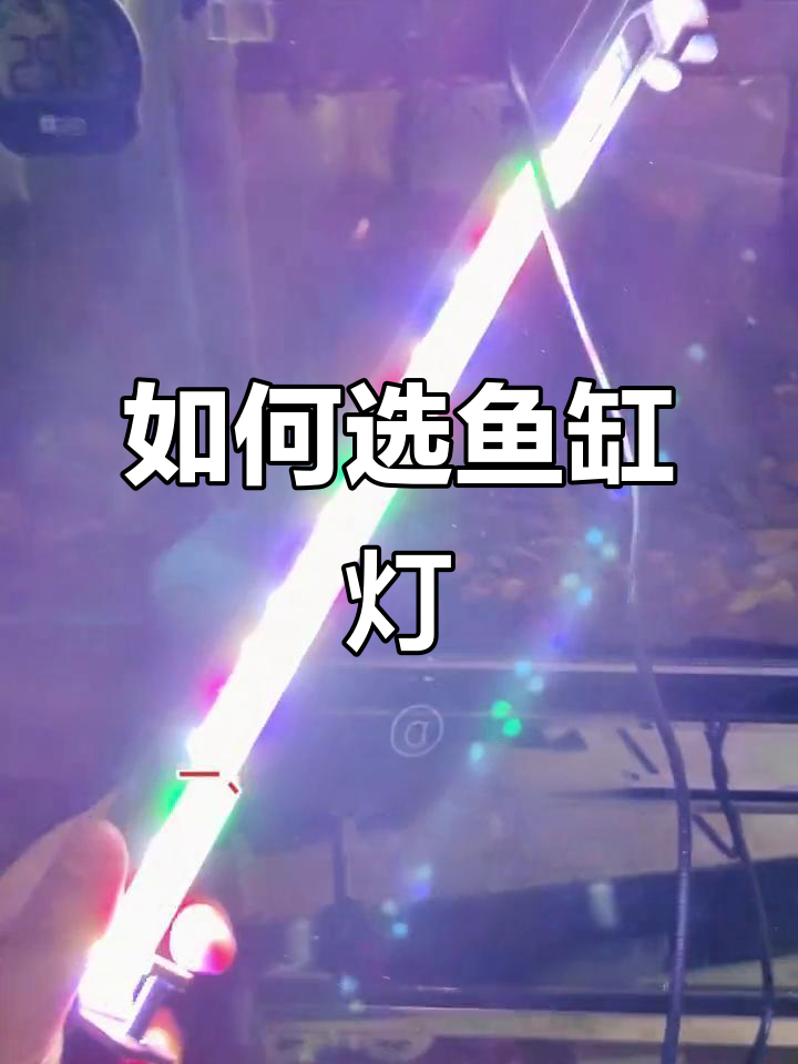 鱼缸灯使用指南:如何避免漏电和干扰休息