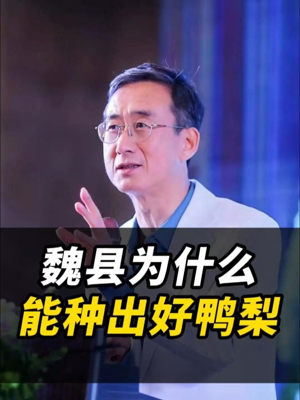 河北魏县为什么能种出好鸭梨?