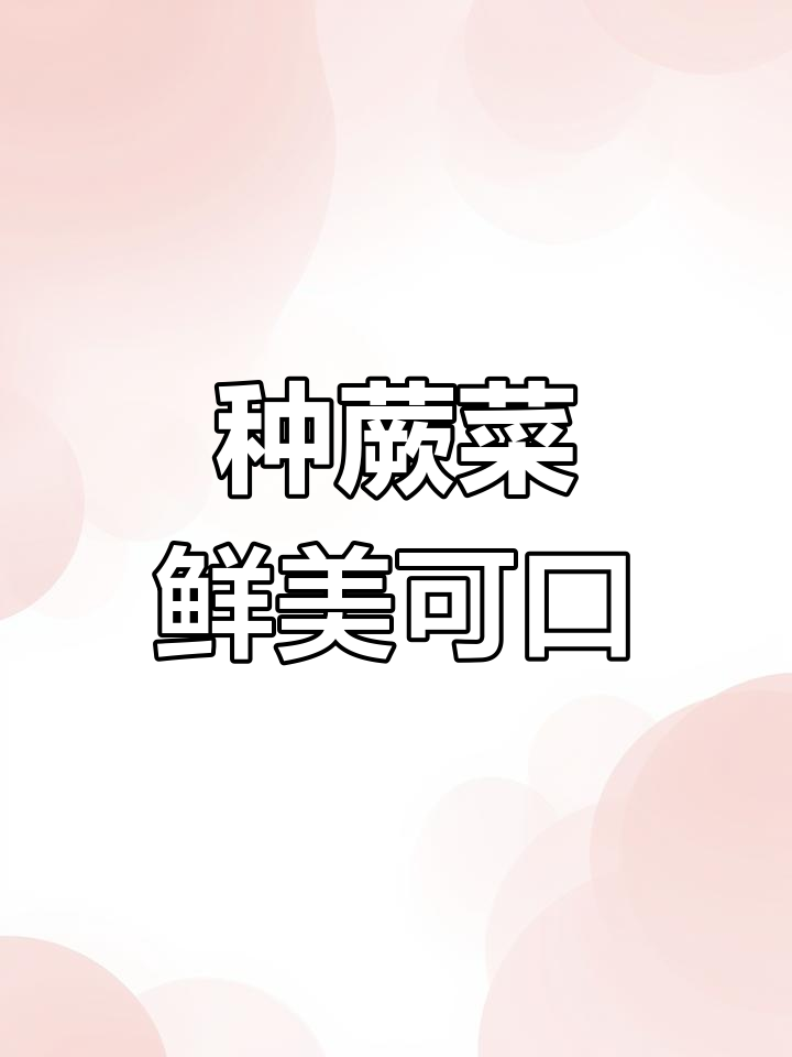 春天种蕨菜,老人小孩都爱吃,采收快又美味