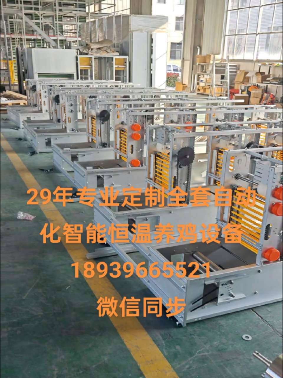 专业生产厂家 车间实拍 厂区实拍图 专业定制全套自动化养鸡设备 专业的事交给专业的人来做更