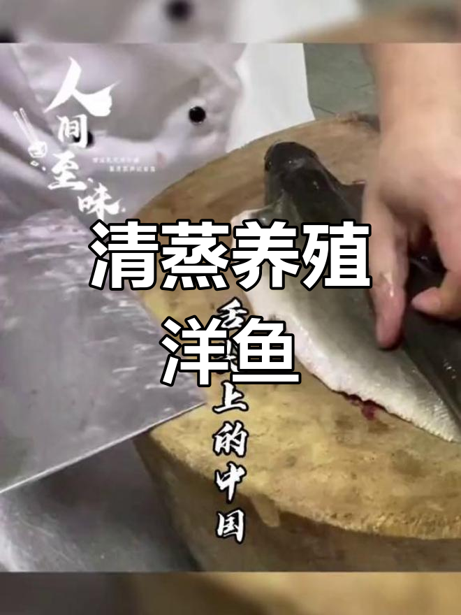 高端食材的简单做法:清蒸洋鱼