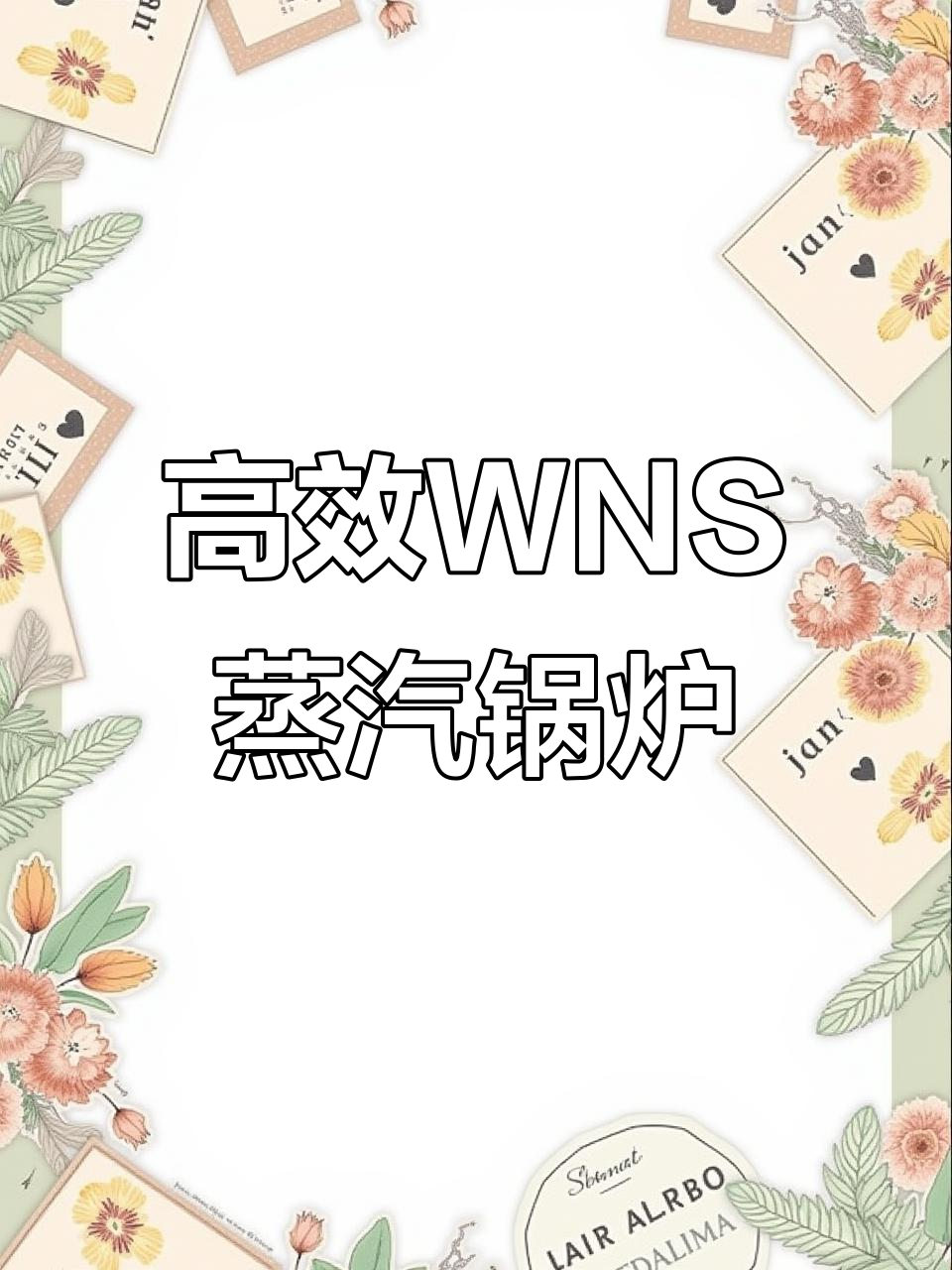 WNS燃油燃气蒸汽锅炉:高效、安全、环保,满足食品工厂需求