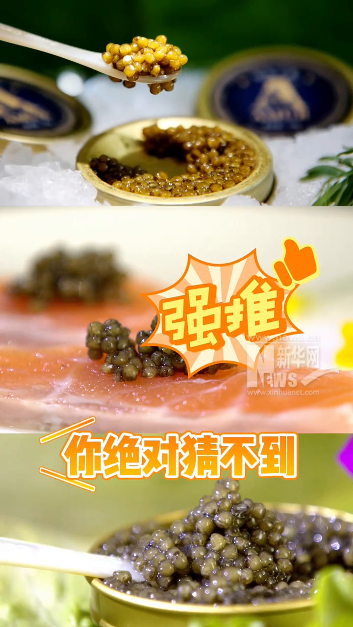 占全球市场供应总量十分之一的鲟鱼鱼子酱,竟然产自云南!