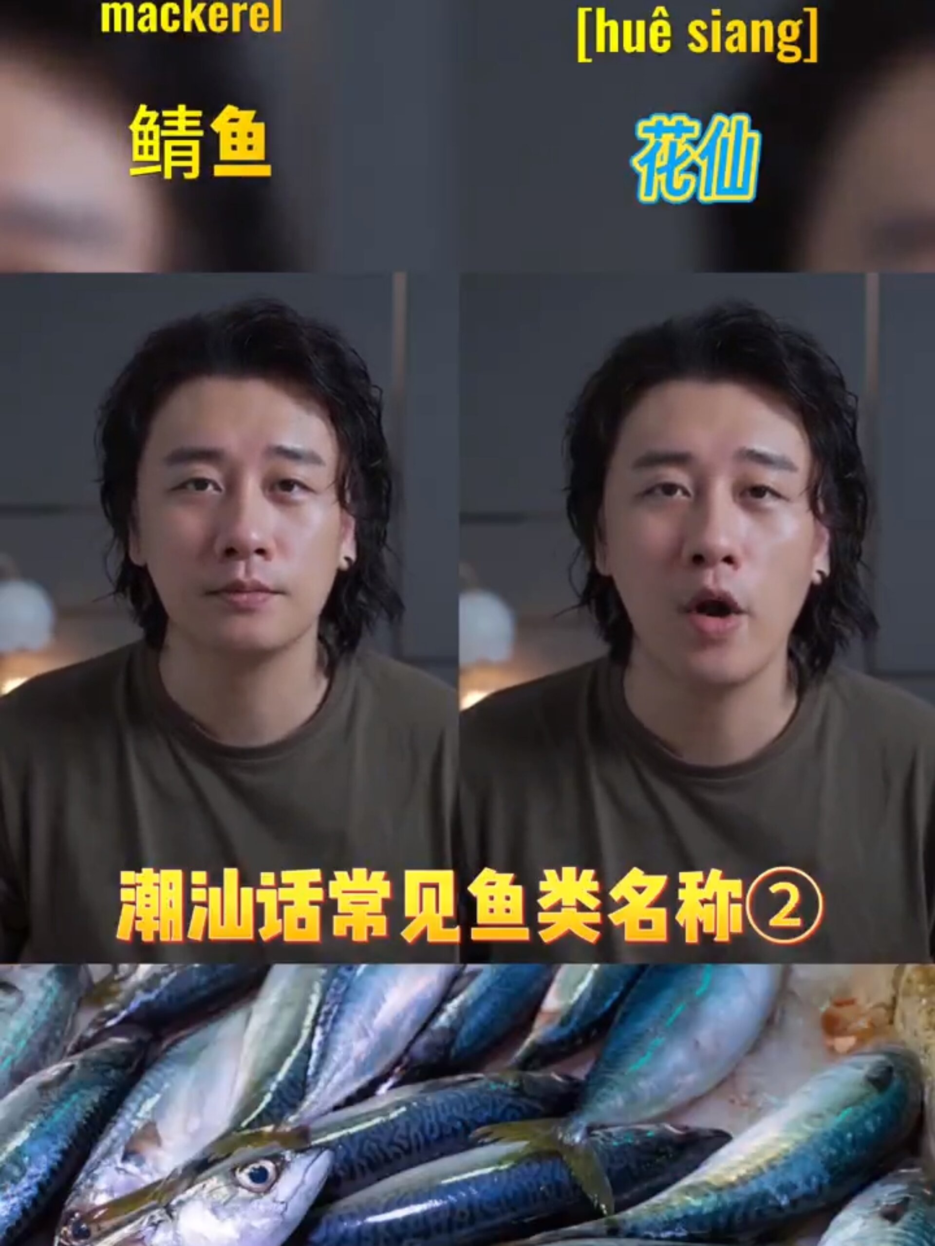 潮汕人爱吃这些鱼普通话怎么说?