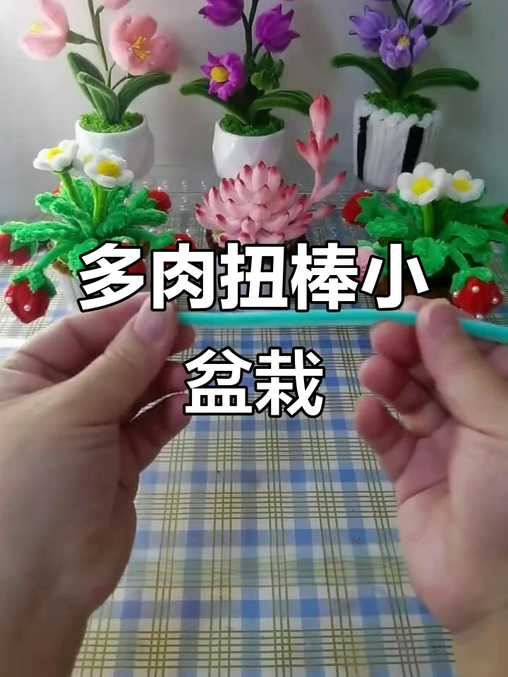 扭棒小盆栽制作,轻松打造多肉植物造型