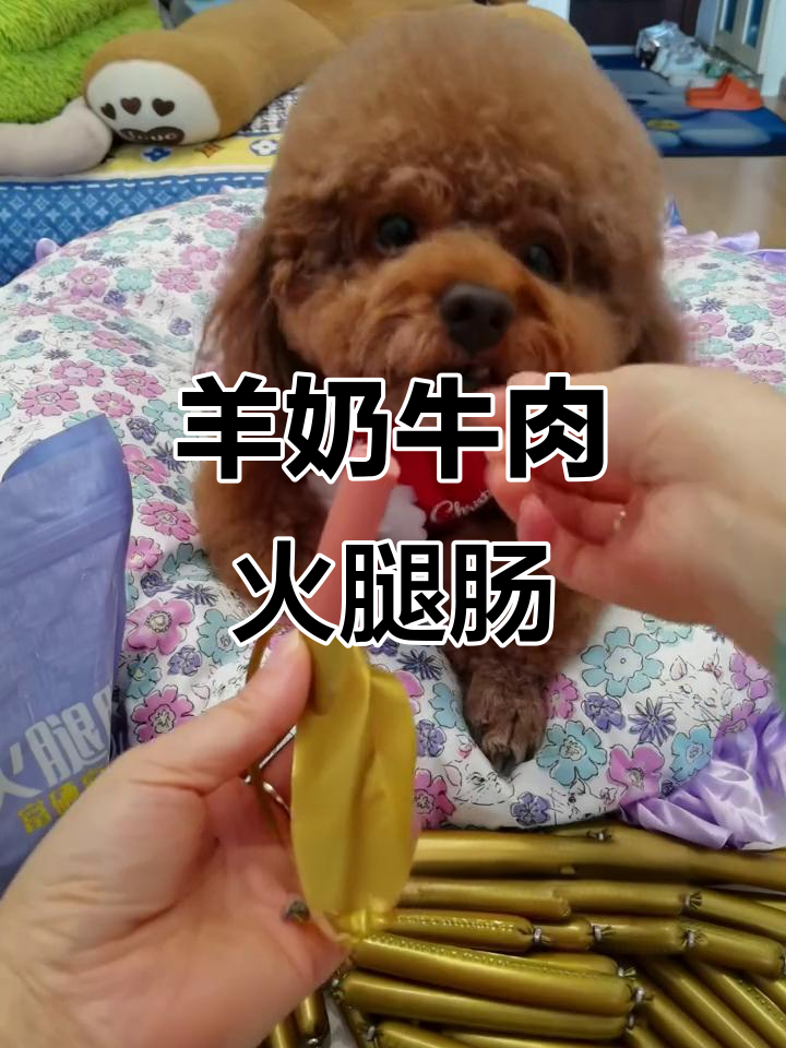 羊奶牛肉火腿肠,营养满满又美味,宝贝们超爱!