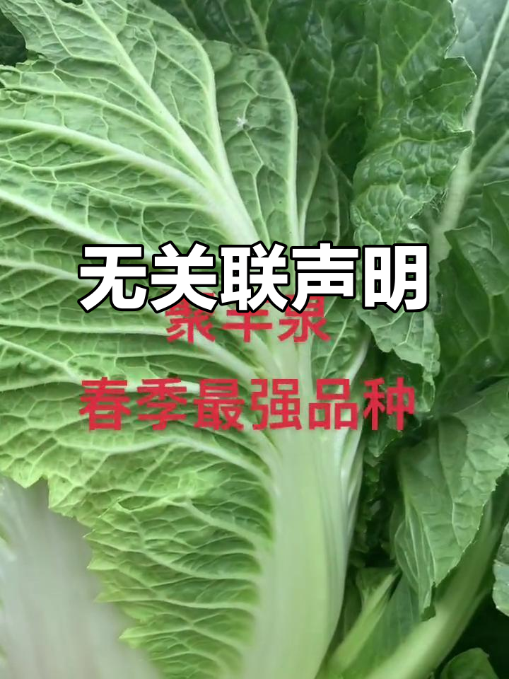 聚丰泉与任何公司无关,请勿混淆
