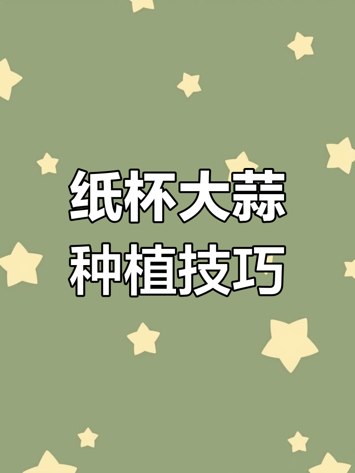 用纸杯和鸡蛋壳种蒜苗,简单又有趣