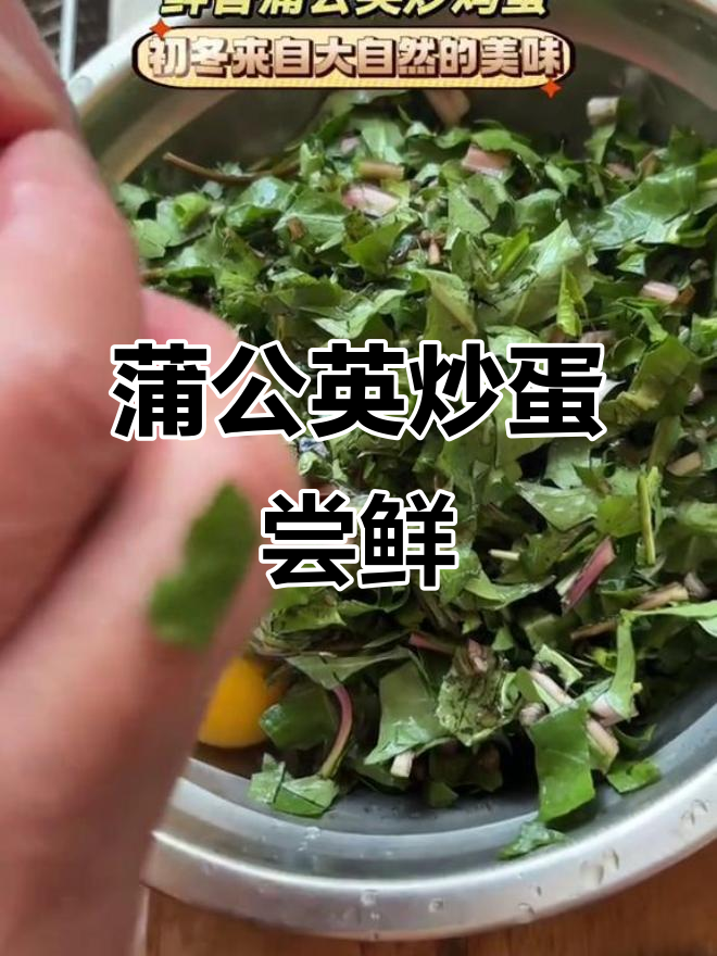 初冬蒲公英炒鸡蛋,大自然的味道让人惊艳