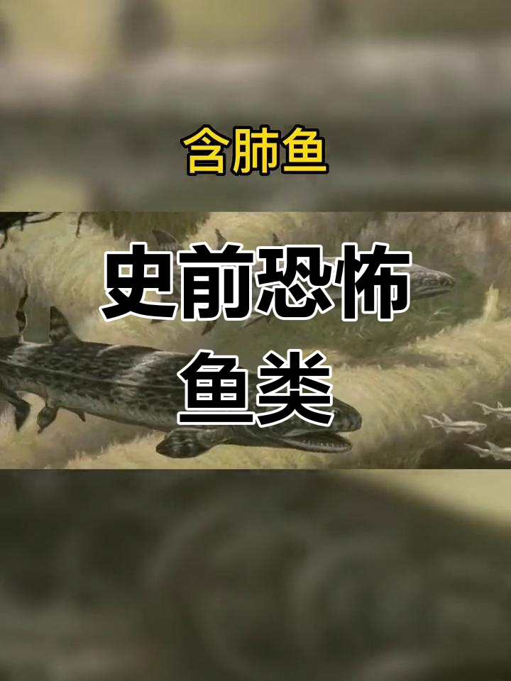 史前鱼类大揭秘,鲨鱼竟然不是最可怕的