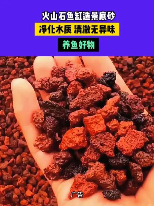 火山石鱼缸造景底砂装饰沙石头乌龟滤材铺底专用耐用火山岩颗粒 鱼缸里的大自然鱼缸造景生态缸天