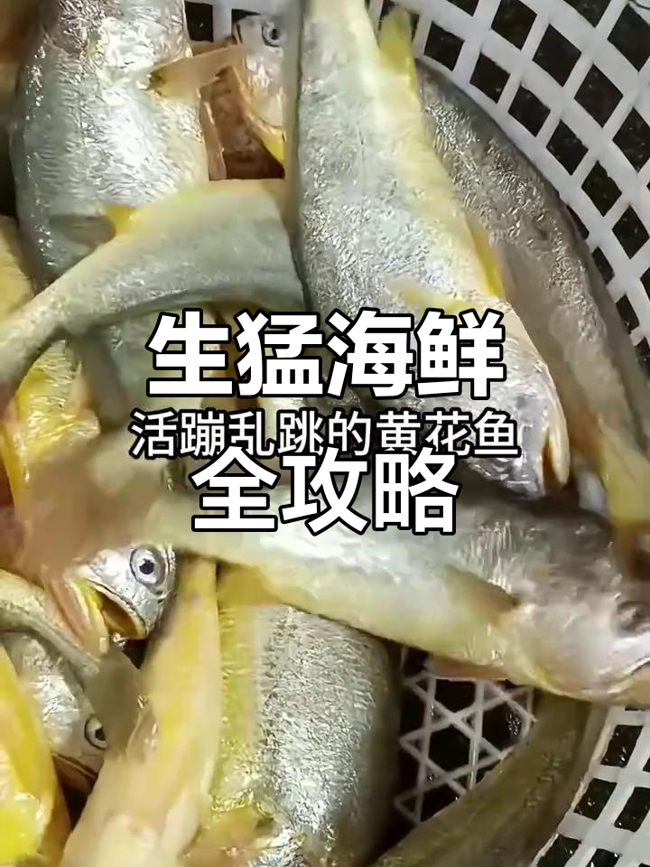 11月28日海鲜大赏:黄花鱼、黑虎虾、鲍鱼一网打尽