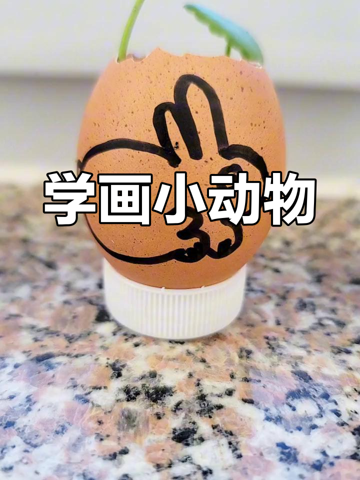 鸡蛋壳上的简笔画教程