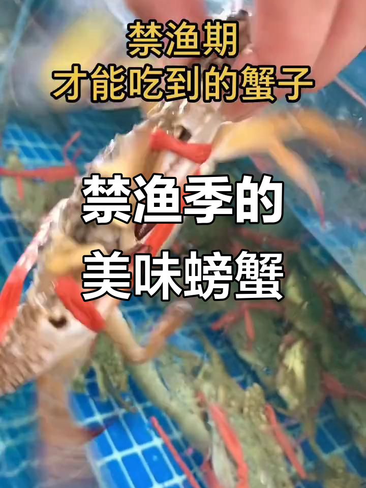 这种蟹只在禁渔期有,清蒸最美味,简单又鲜嫩!