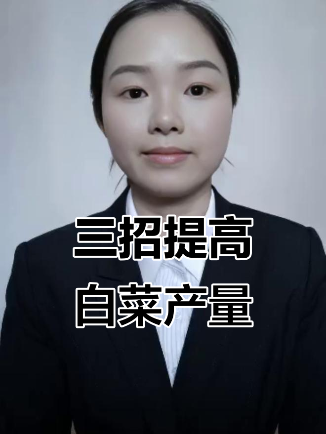 白菜增产秘诀:三步让你亩产3000斤,简单又高效