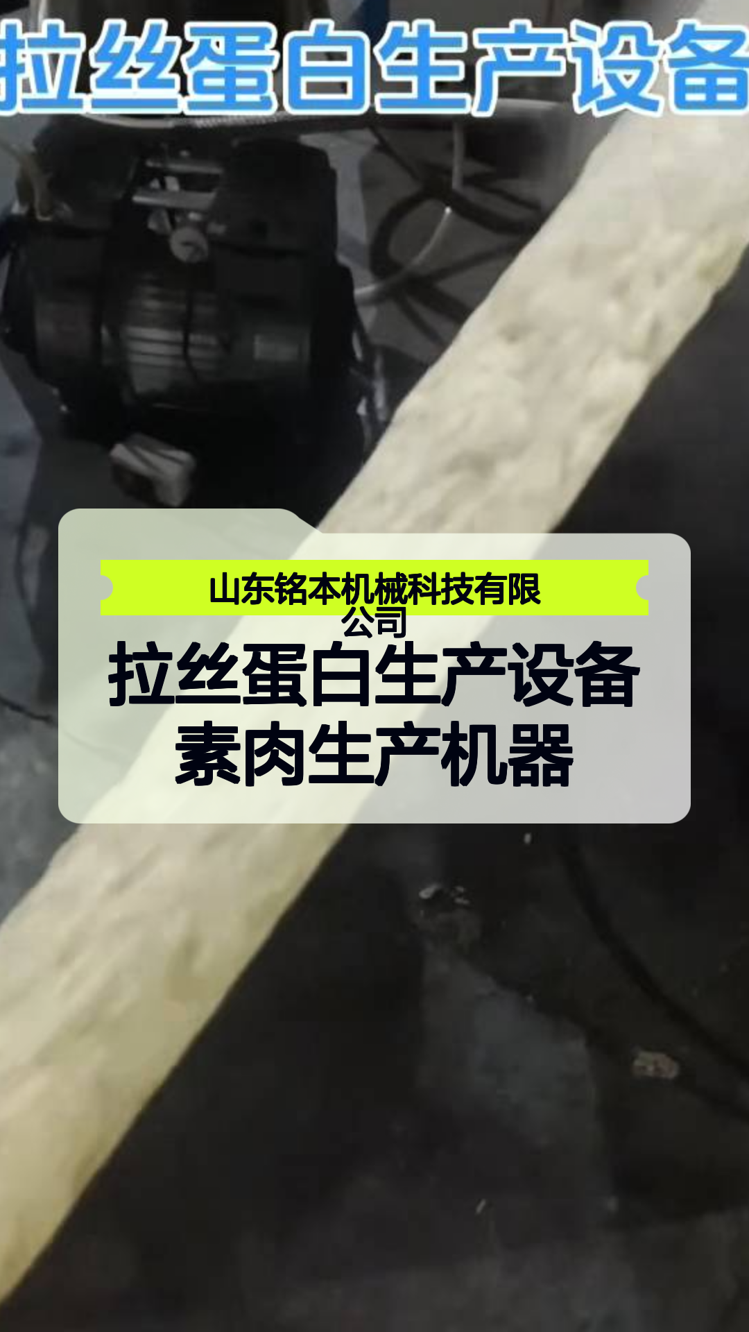 拉丝蛋白生产设备素肉生产机器