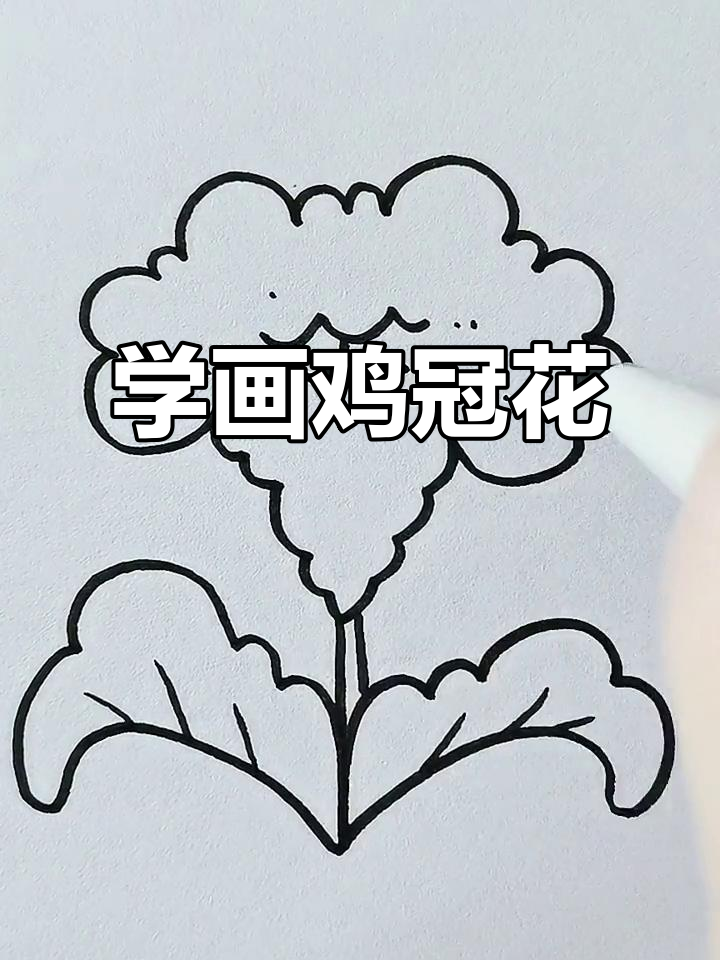 简单步骤教你画鸡冠花，轻松上手！