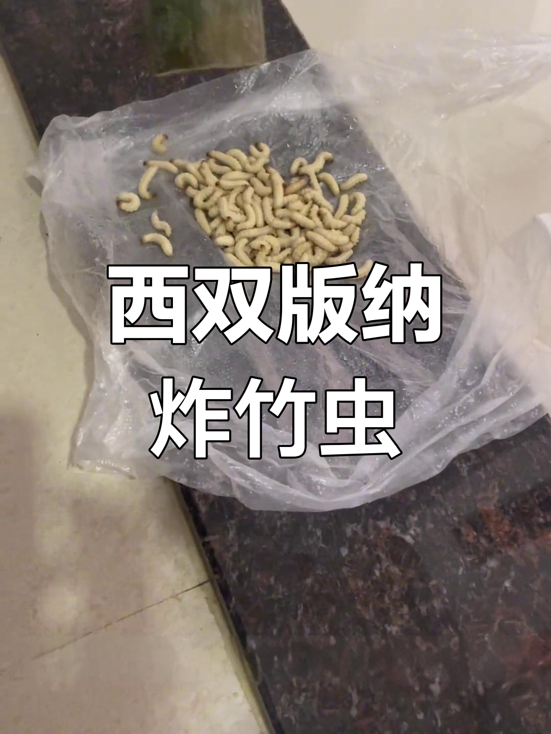 云南西双版纳竹筒里的美味佳肴:炸竹虫