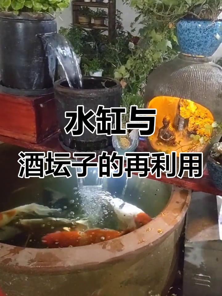 废旧水缸变鱼缸,酒坛子做微景观创意改造
