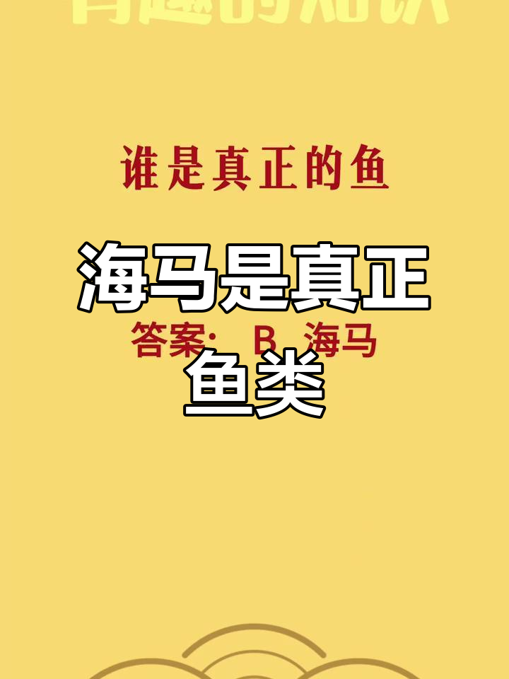 鲸鱼和海马,谁才是真正的“鱼类”?揭秘海洋生物的真相