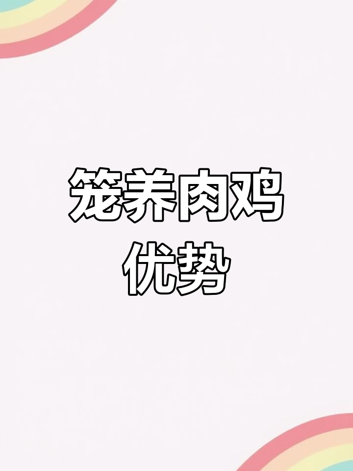 笼养肉鸡节省空间,集约化养殖更高效!