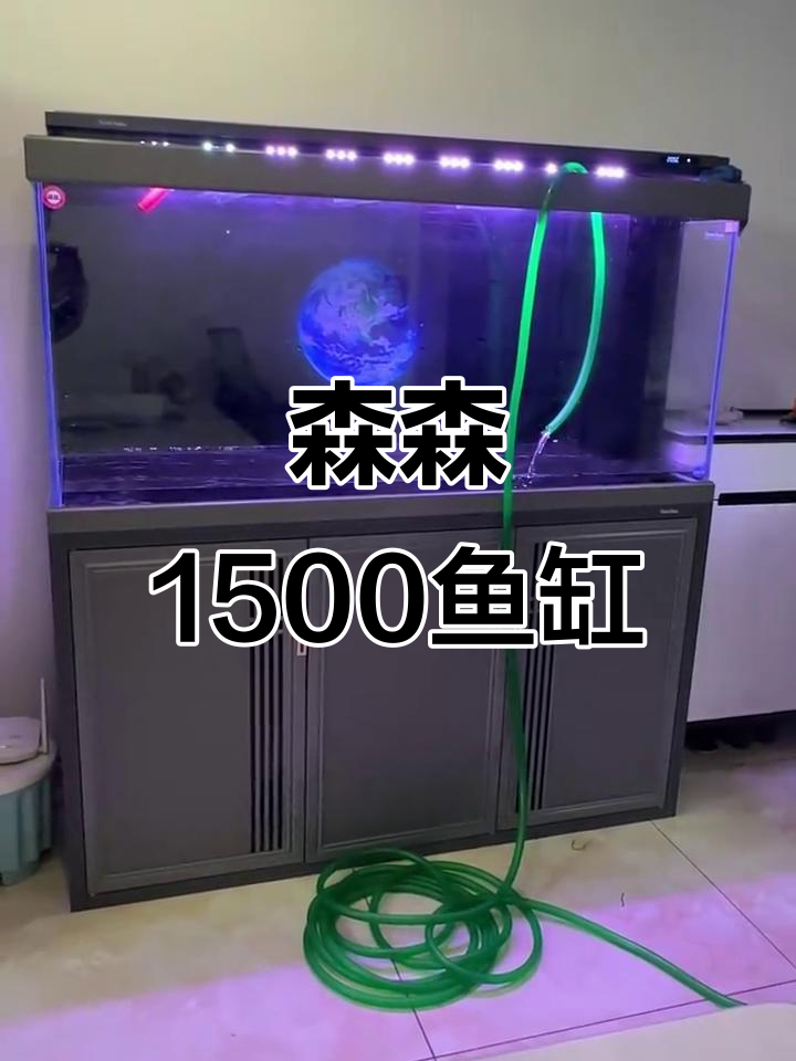森森1500鱼缸：灰色FD材质，长度一米五