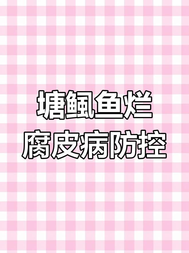 2019年12月8日塘鲺鱼烂腐皮病防治全攻略