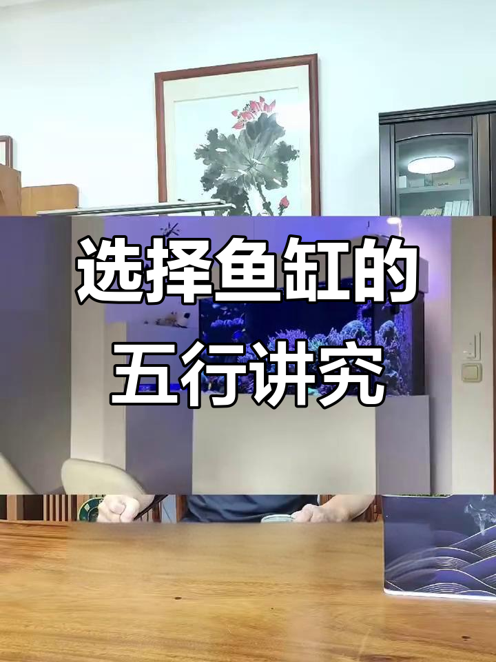 鱼缸形状选圆形还是长方形?传统风水告诉你答案