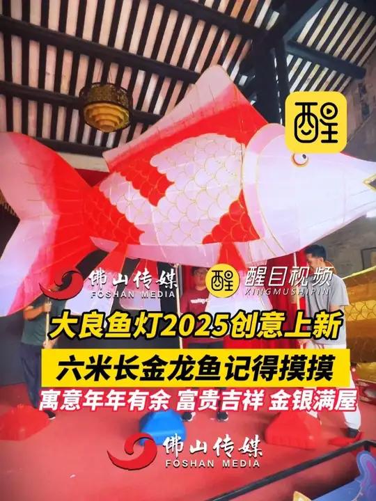 大良鱼灯巡游上新!6米金龙鱼鱼灯!鱼生造型鱼灯!各种鱼灯应有尽有!年年有余,金银满屋好意头