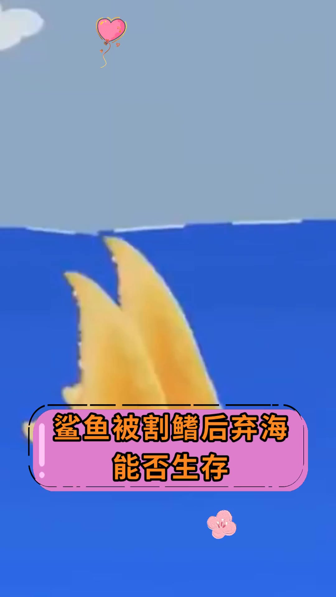 鲨鱼被割鳍后弃海,能否生存